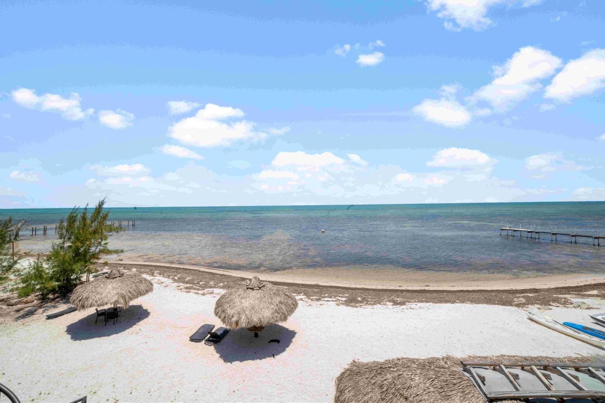 Ocean View Room Barnacle Bed And Breakfast Deers Beach Front Suite Big Pine Key Exterior photo